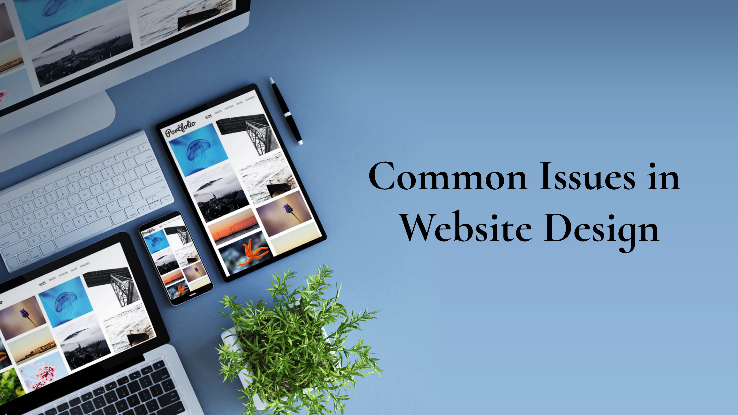 Common Issues in Website Design