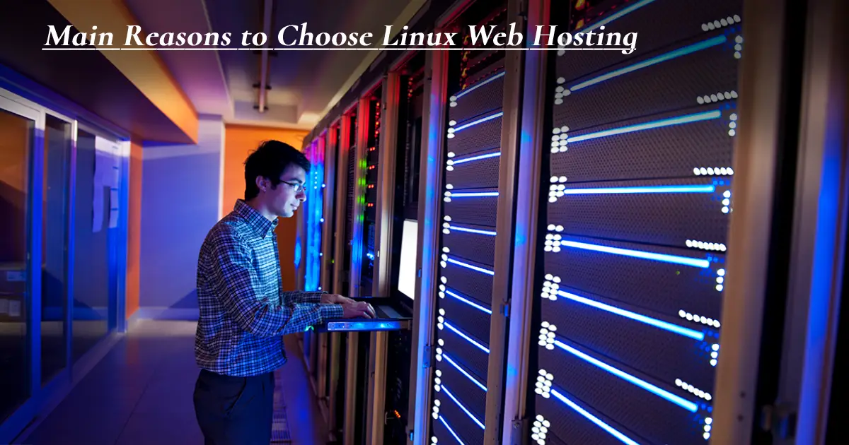 Main reasons to choose Linux web hosting