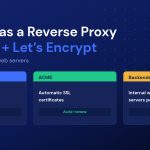 pfSense reverse proxy architecture: HAProxy frontend, ACME certificates and backend web server pool